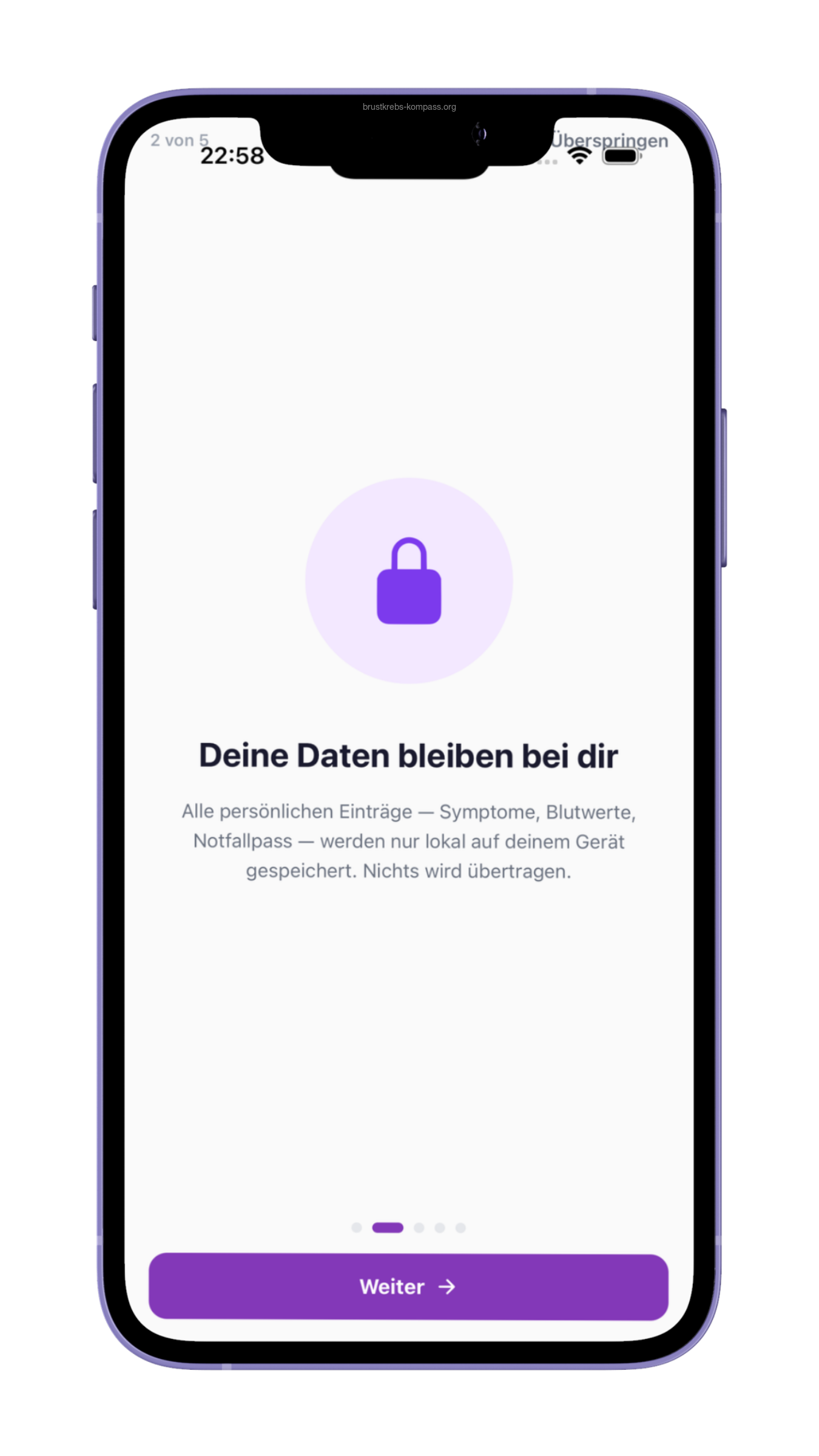 Onboarding-Slide 2: Deine Daten bleiben bei dir. Symptome, Blutwerte und Notfallpass nur lokal auf dem Gerät.