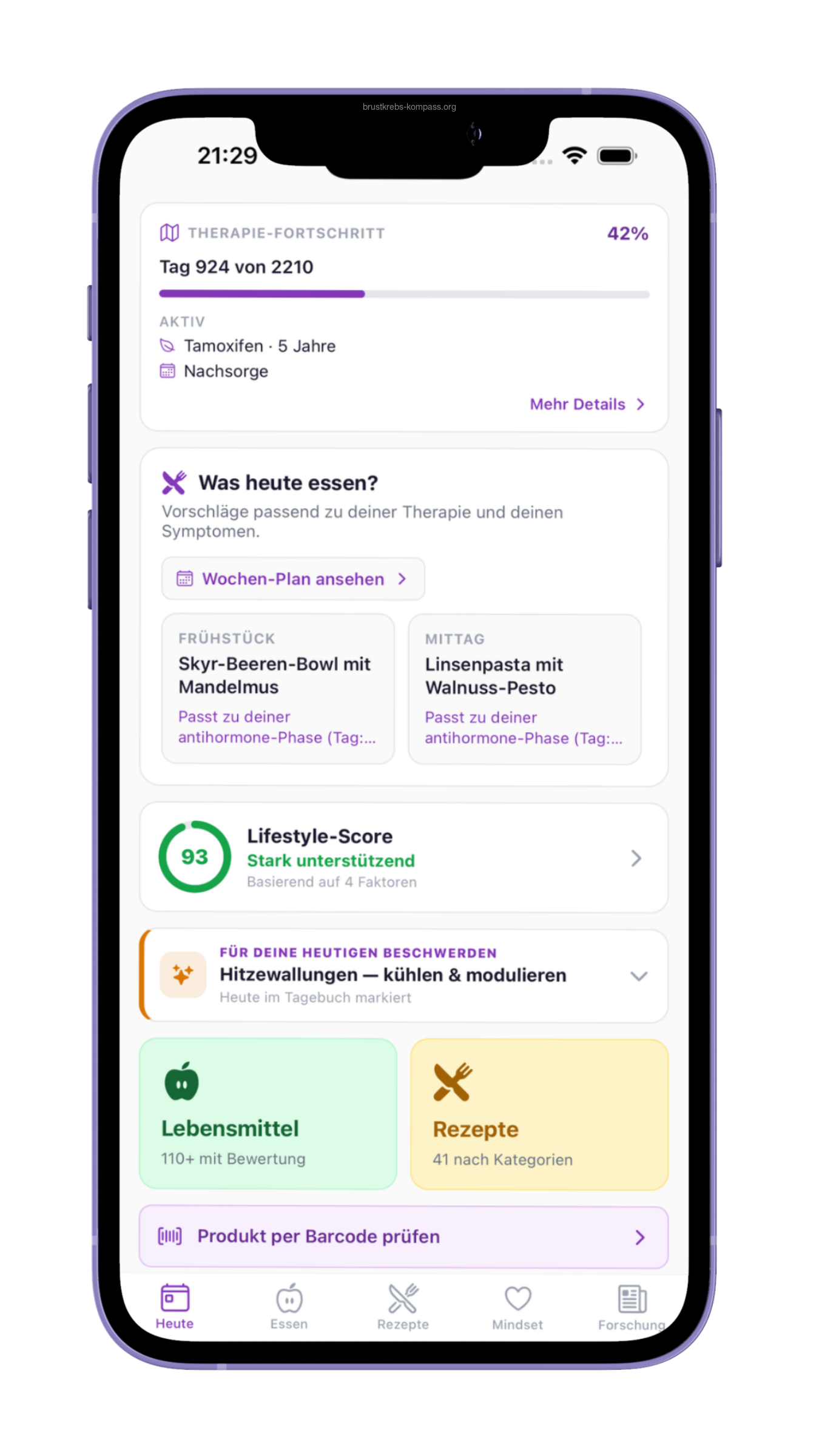 Heute-Tab mit Stimmungsskala, Affirmation, Logbuch und Medikamenten-Plan.